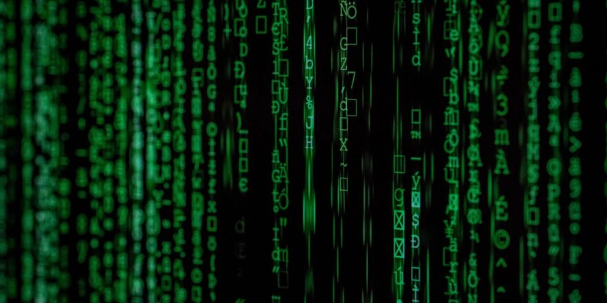 digitalizacja
