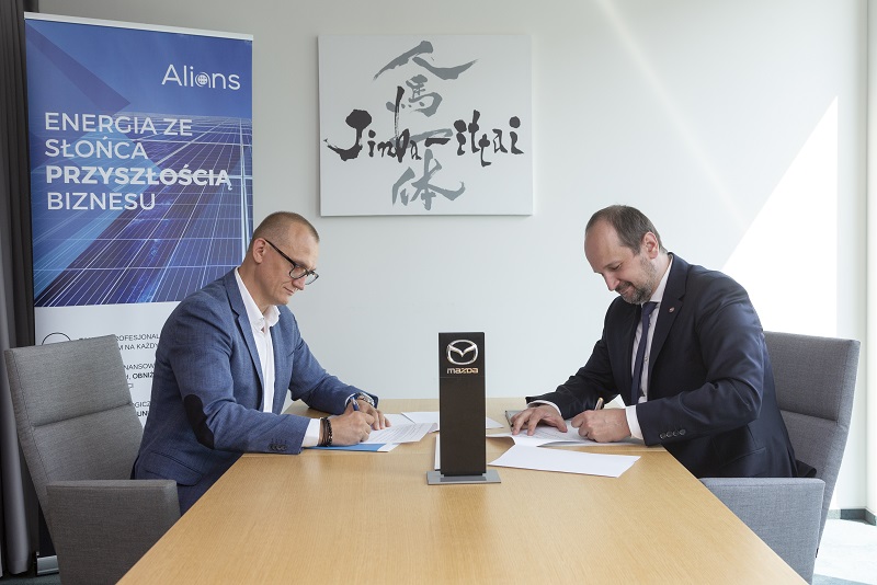 współpraca partnerska